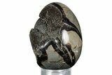 Septarian Dragon Egg Geode - Sparkly Black Crystals #336447-1